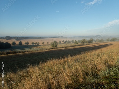 czech countryside road in a morning mist