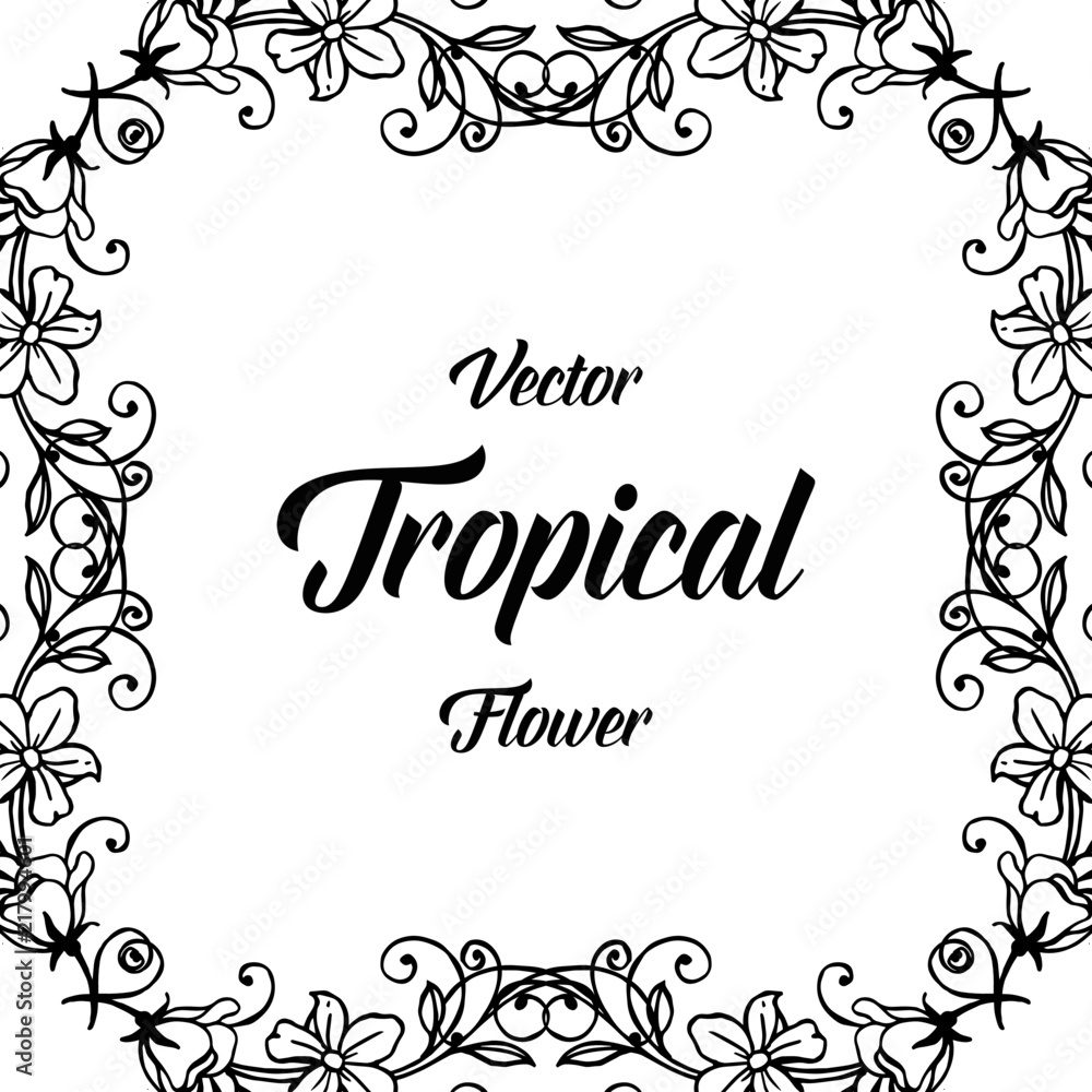 Vector tropical flower card hand draw illustration collection Vector tropical flower card hand draw illustration collection