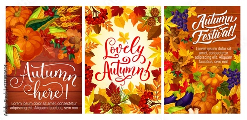 Autumn festival or party posters with fall harvest