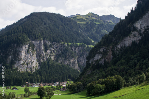 Swiss Valley (ID: 217995040)