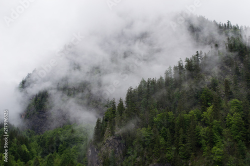 Foggy Depths of the Mountains