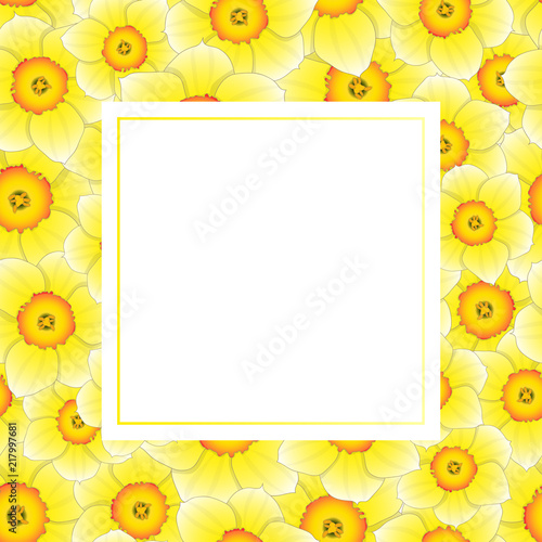 Fototapeta Naklejka Na Ścianę i Meble -  Yellow Daffodil - Narcissus Banner Card
