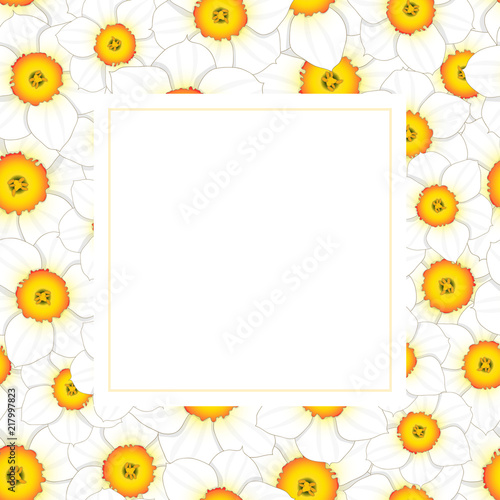 Fototapeta Naklejka Na Ścianę i Meble -  White Daffodil - Narcissus Banner Card
