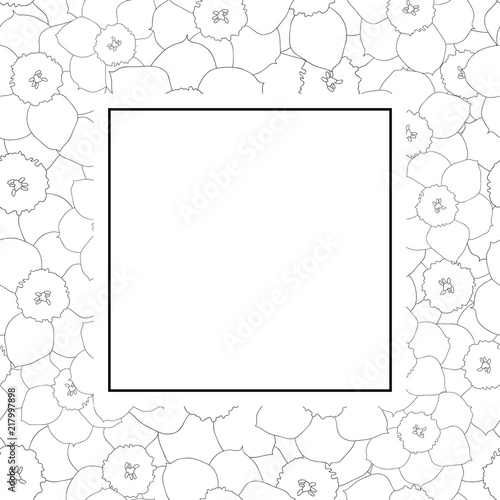 Fototapeta Naklejka Na Ścianę i Meble -  Daffodil - Narcissus Outline Banner Card