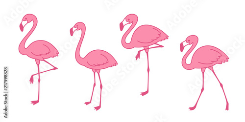 pink flamingo Cartoon vector set Cute flamingos collection Flamingo character animal exotic nature wild fauna illustration © CNuisin