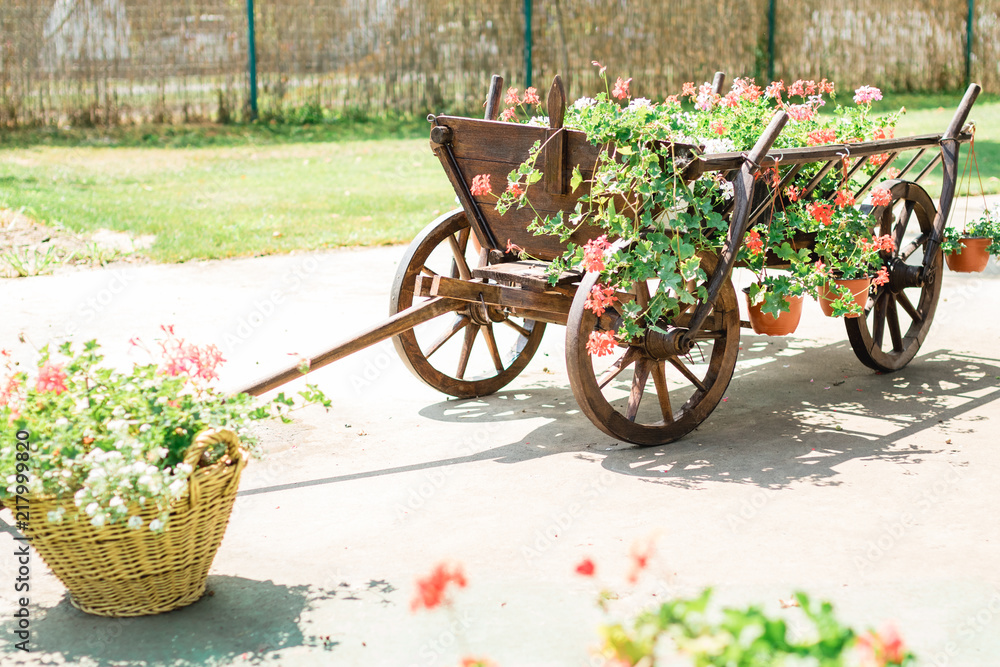 A wheelbarrow wooden decoration in a garden. garden decoration concept. sunny day