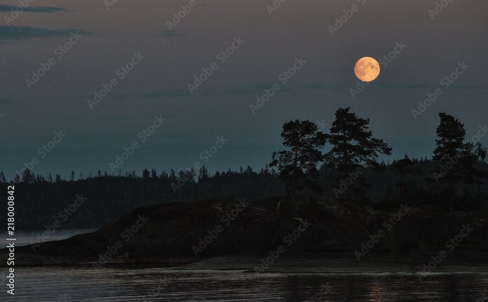 Moon over the forest. Night on the shore of the lake Moon over the forest. Night on the shore of the lake