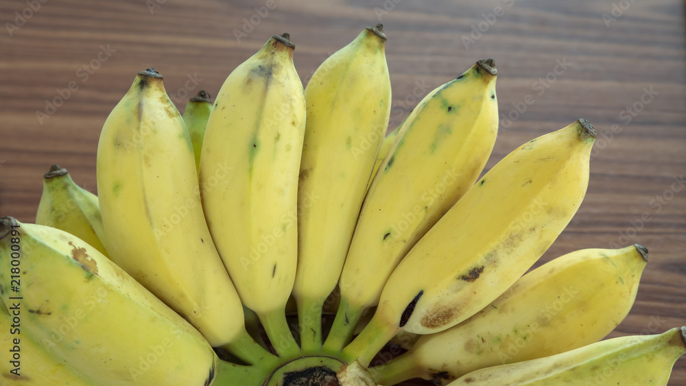 Cultivated banana