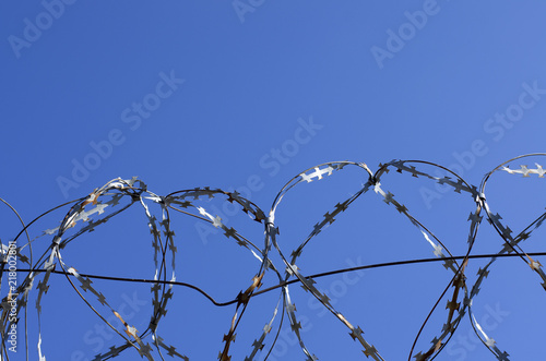 Coils of barbed wire with spikes over the concrete fence closeup