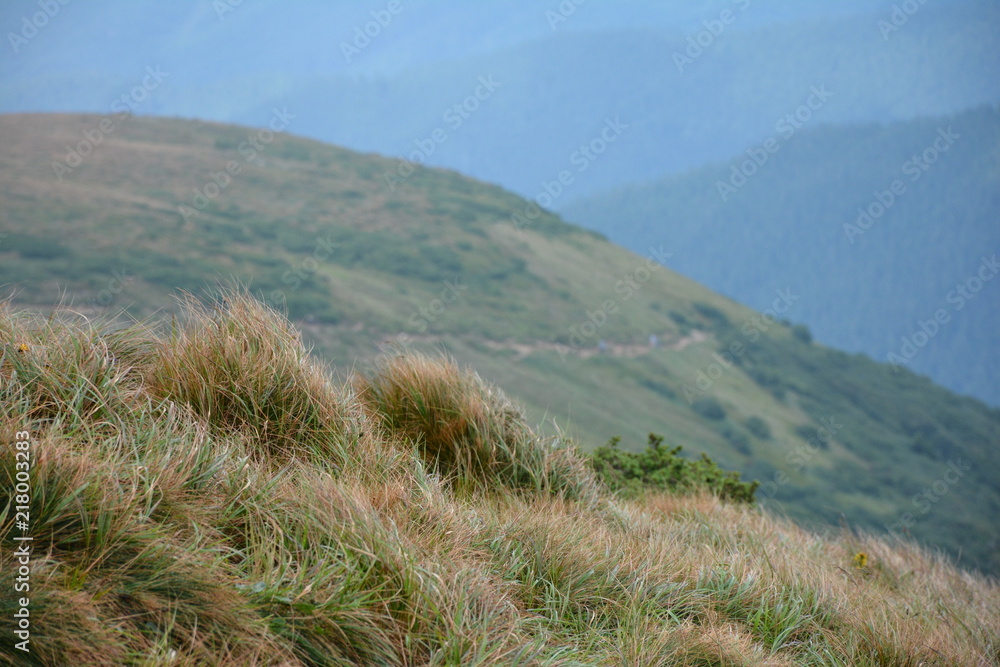 Beautiful view of the Carpathian mountains