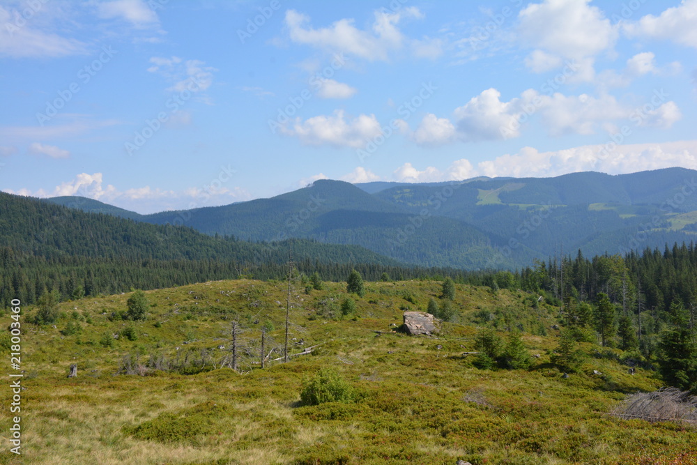 Beautiful view of the Carpathian mountains
