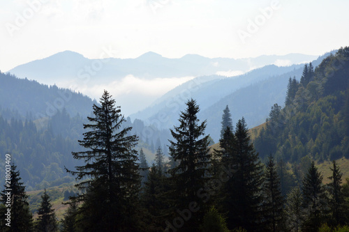 Beautiful view of the Carpathian mountains © Каплин Дмитрий