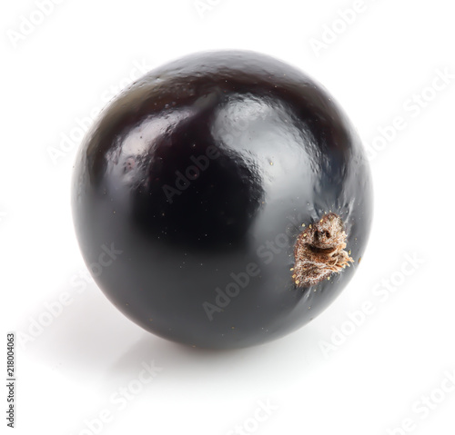 One black currant isolated on white background