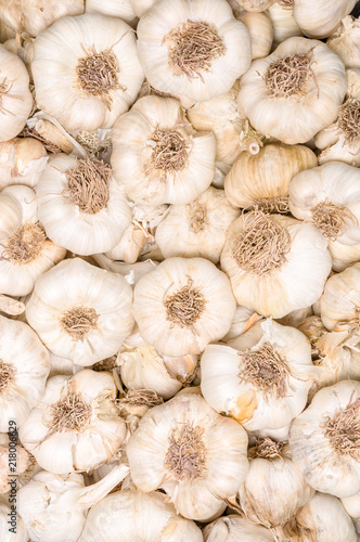 Garlic in bundles dried