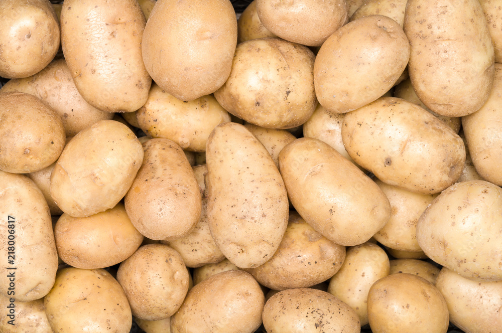 Fresh organic potato stand out among many large background potatos in the market Fresh organic potato stand out among many large background potatos in the market