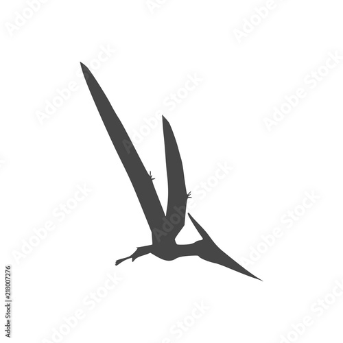 Pterodactyl icon, Vector drawing, Pteranodon bird