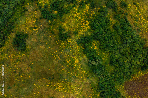 Fototapeta Naklejka Na Ścianę i Meble -  New road nature through swamp impenetrable forest, top aerial view dron