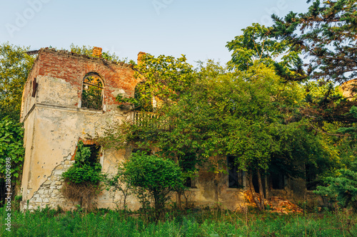 Old overgrown by trees ruined abandoned mansion