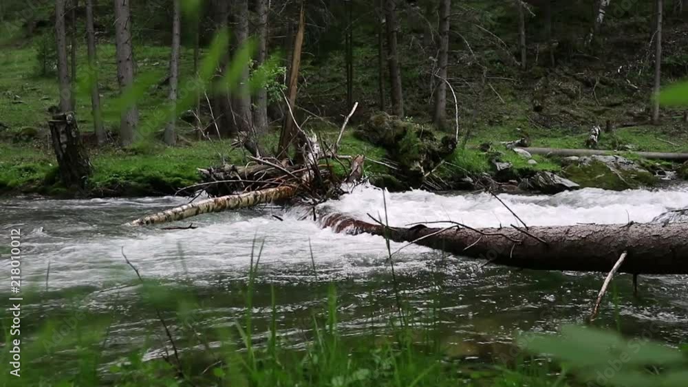 Swift water flow in small mountain river, trees along the river bank Swift water flow in small mountain river, trees along the river bank