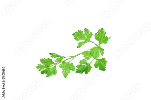 Fresh green parsley isolated