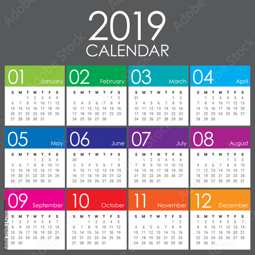 Year 2019 calendar vector design template