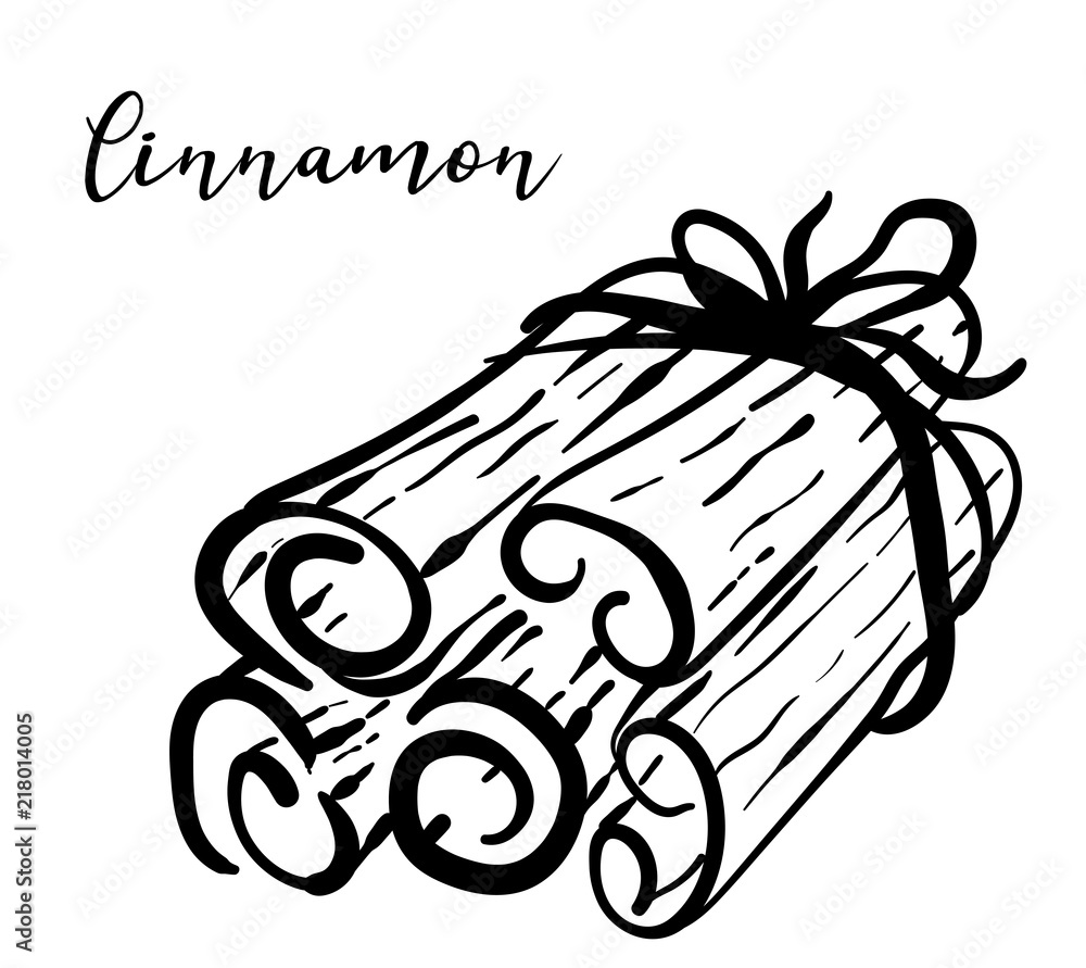 Sketch of cinnamon. Vector illustration of cinnamon sticks. Ingredient ...