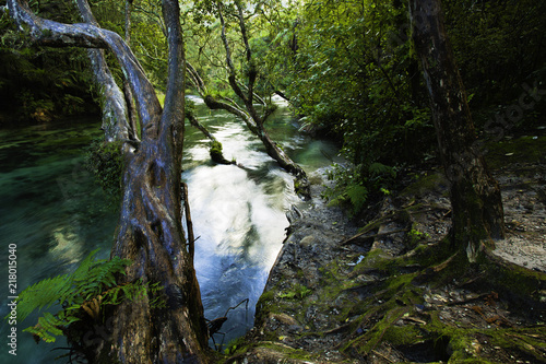 Tarawera River  photo