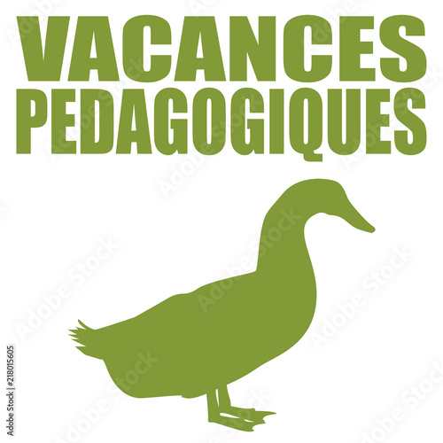 Logo vacances pédagogiques.