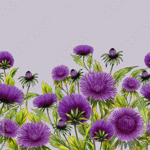 Beautiful aster flowers with green leaves on lilac background. Seamless flora...