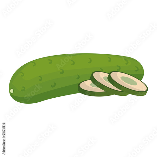 fresh cucumber vegetarian food vector illustration design