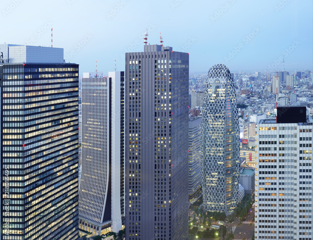 Panoramic view from the Tokyo Metropolitan Government Building on a full moon night.