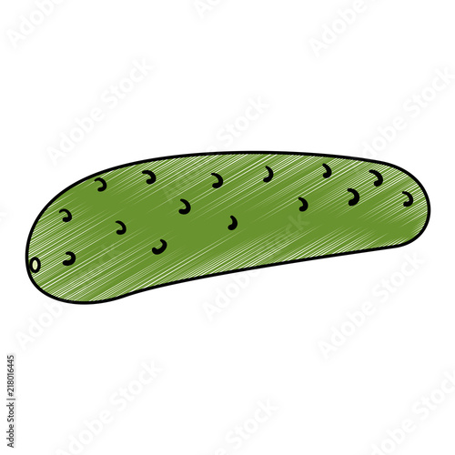fresh cucumber vegetarian food vector illustration design