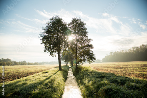 Spreewald
