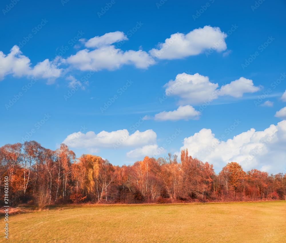 Field with Fall forest behiund Field with Fall forest behiund