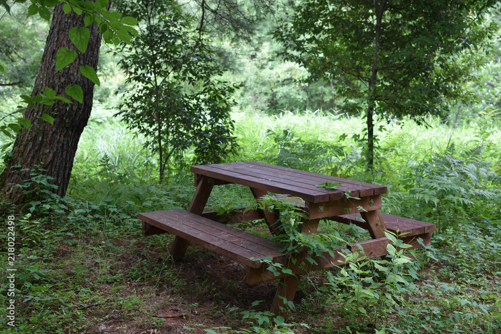 日本の森の中のベンチ