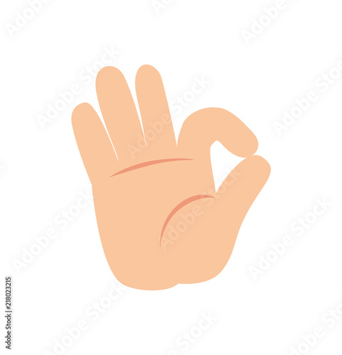Ok Nonverbal Gesture Sign Vector Human Palm Icon