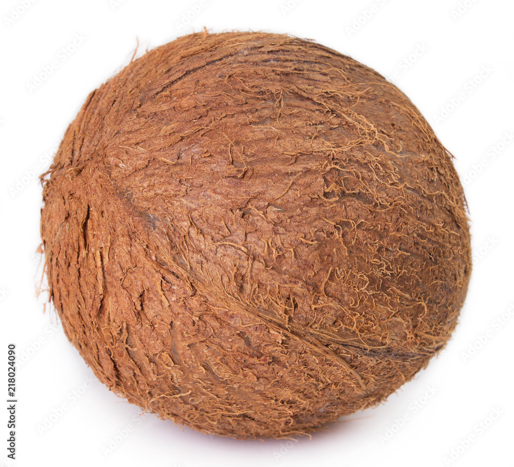 Coconut Coconut
