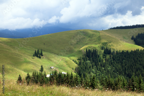 green mountain valley  green forest  top of the hill  houses  cows