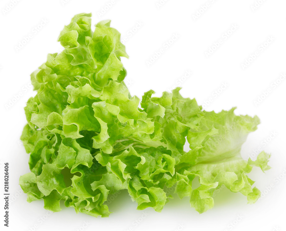 Fresh lettuce salad Fresh lettuce salad