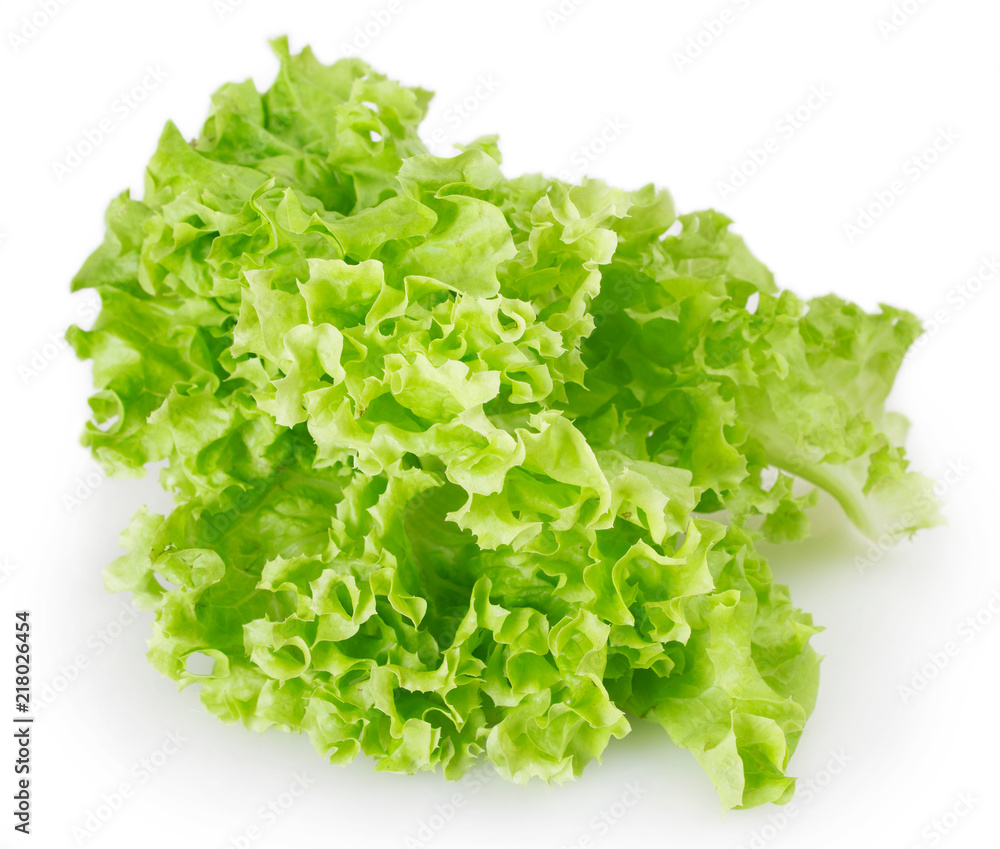 Fresh lettuce salad Fresh lettuce salad