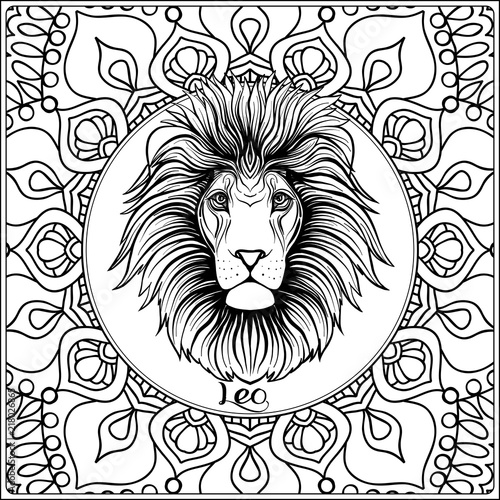 Leo, lion. Decorative zodiac sign on pattern background. Outline hand drawing. Good for coloring page for the adult coloring book Stock vector illustration.