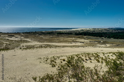 Summer landscape with white sand dunes  bushes and sky. Curonian Spit  Baltic sea. UNESCO World Heritage Site.
