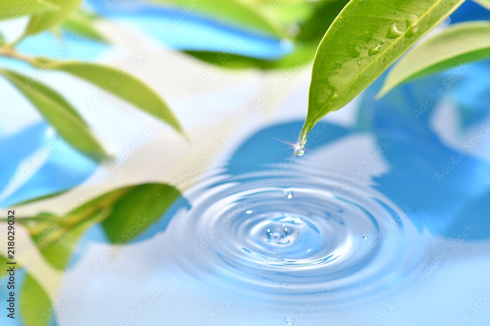 水滴 水滴