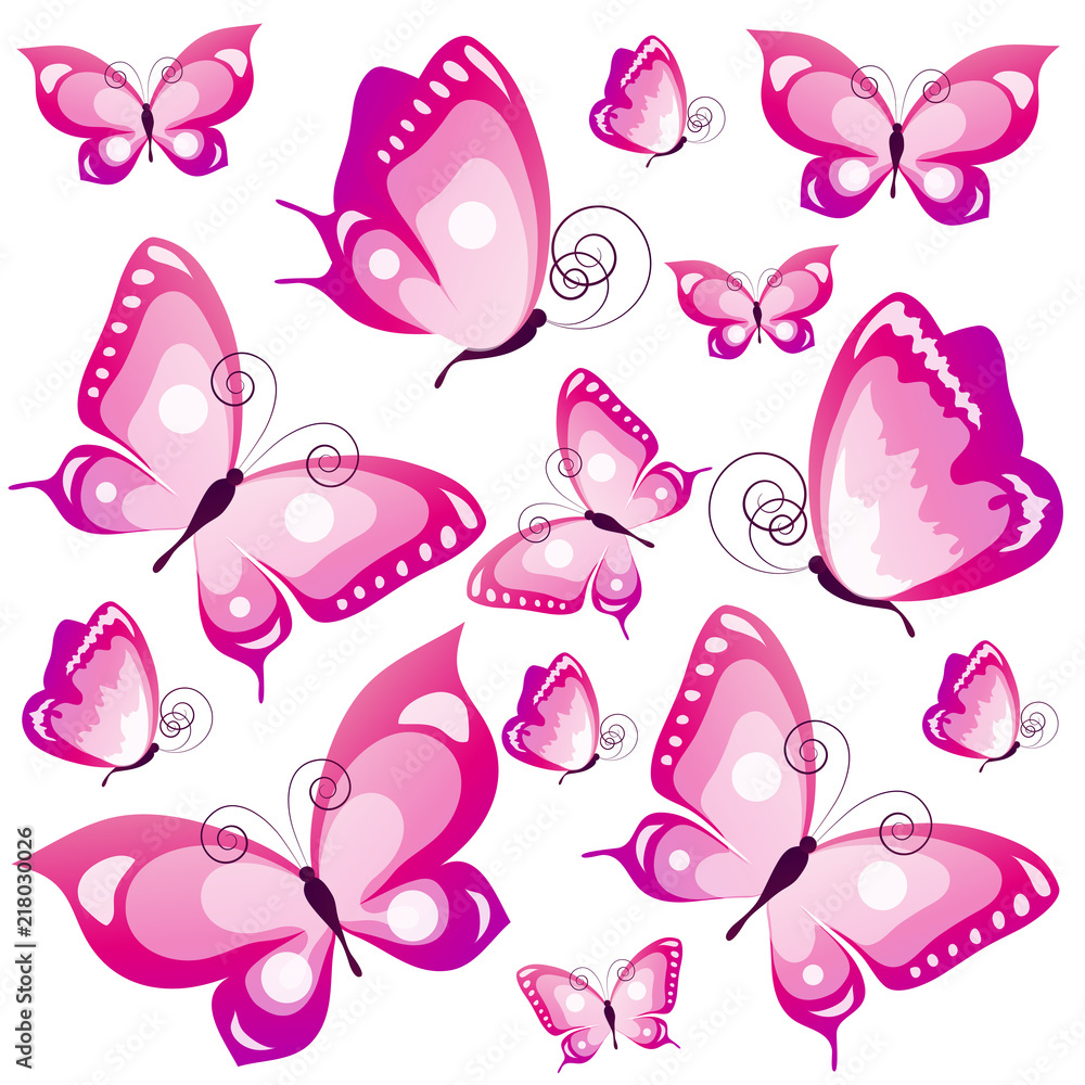 beautiful pink butterflies, isolated on a white beautiful pink butterflies, isolated on a white