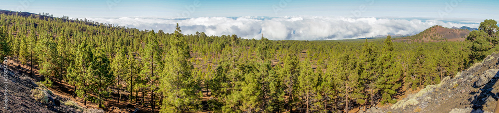 Panorama-Aufnahme des Teide-Nationalparks auf Teneriffa