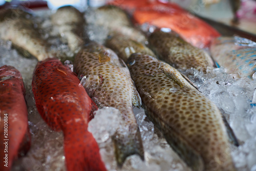 Raw fish on market, background. Top view of fresh uncooked fish, different fishes on ice for sale at wet market.