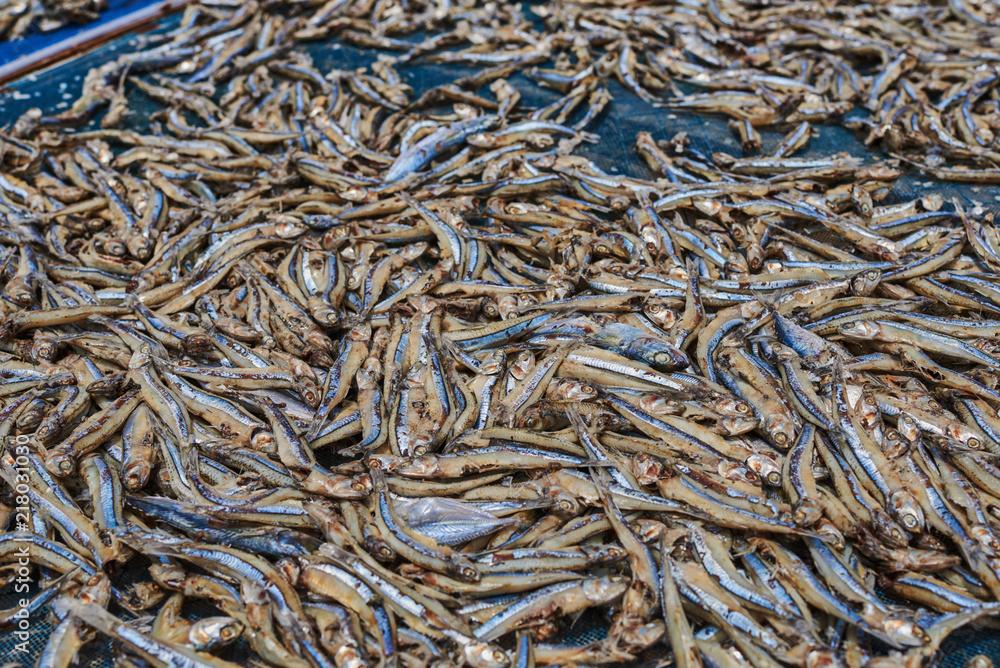 Fish dried under the sun in fishing village. Traditional way of sun drying fish in Asia.