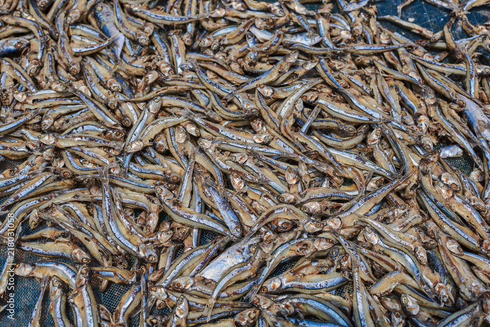 Sieve dried fish. Fish dried under the sun in fishing village. Small salted fish dried under the sun.