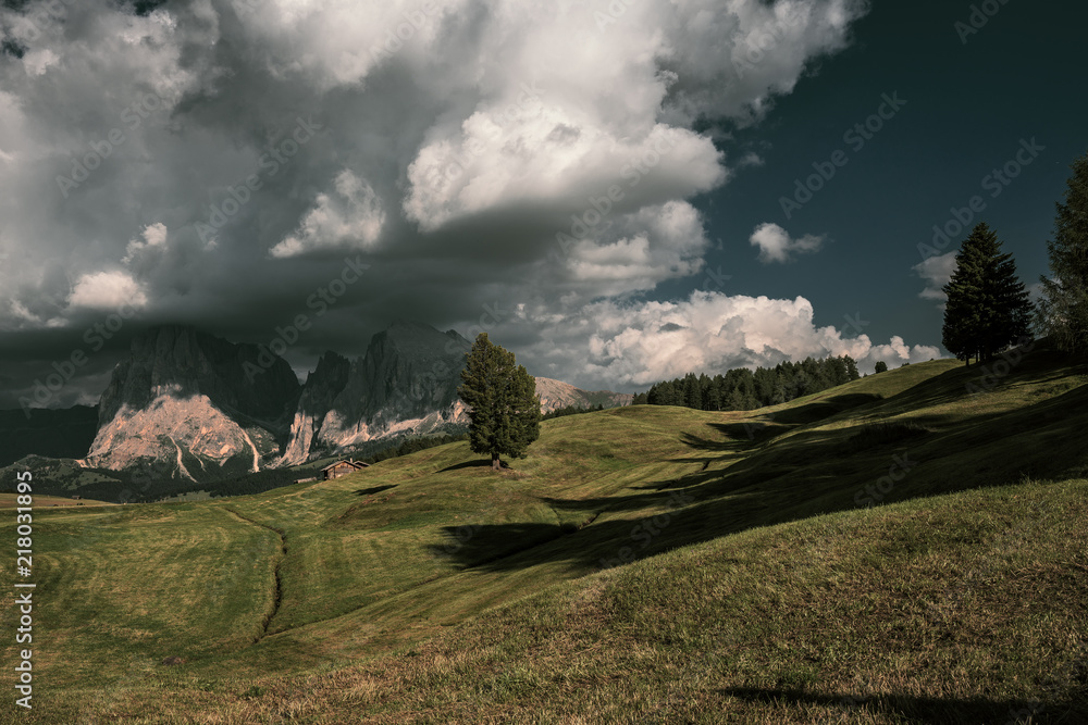 View over the Alpe di Siusi. ( Seiser Alm ) View over the Alpe di Siusi. ( Seiser Alm )