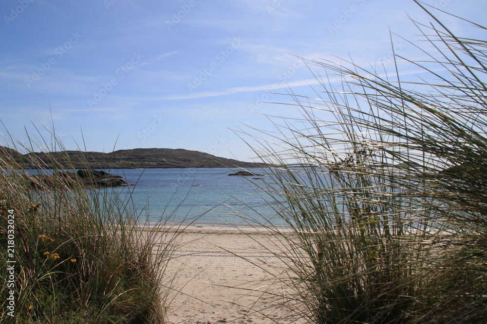 gras am Meer gras am Meer